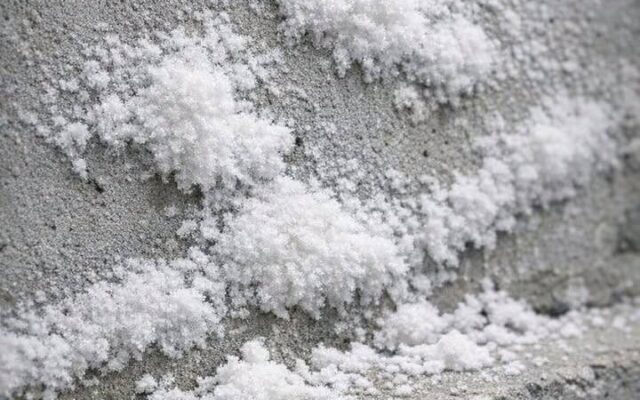 That White “Fuzzy” Stuff on Your Basement Wall May Not Be Mold — Here’s Why It Keeps Coming Back
