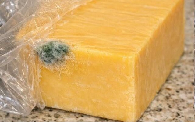 I just got home from the store and opened this expensive block of cheddar to make dinner. There is a…